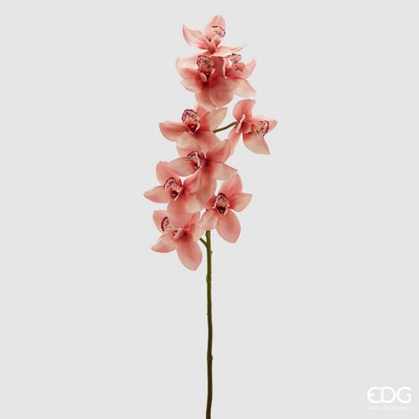 EDG Enzo De Gasperi Orchidea Cymbidium H 90 Cm Rosa