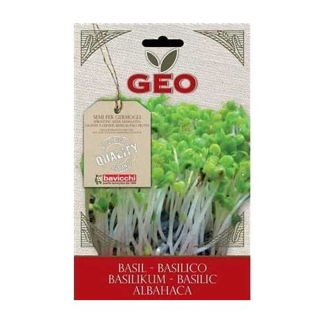 SEMI BIO GERMOGLI DI BASILICO FOGLIE VERDI 5 GR GERMOGLIATORE ORTO