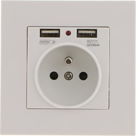 Wall Socket, Wall Power Outlet with Dual USB 5V/2100mA, Recessed Socket with 2 USB Ports, Convenient and Easy to Use (1/5)