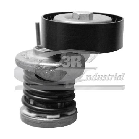 3RG 13718 RODILLO TENSOR