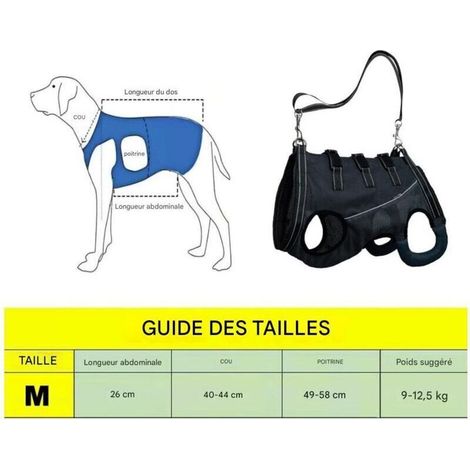 Arnés de elevación para perros discapacitados (1/3)