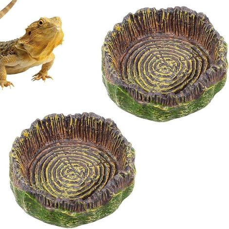Bol à Eau pour Gecko, Petites Iguanes, Crabe Hermaphrodite, Accessoires De Terrarium pour Reptiles, Bols Lézards, Geckos Léopards (1/5)