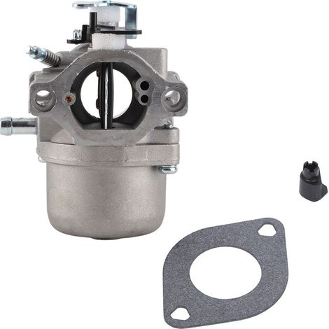 Carburateur Moteur pour Briggs & Stratton (Séries 28, modèles 285707, 289707, 28B705, 28M707) (1/5)