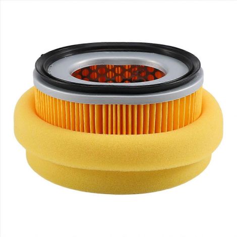 Filtre à air combiné avec préfiltre pour moteur L100N 114210-12590-SSZFV (1/5)