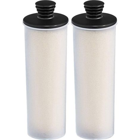 pezzi Cartuccia anticalcare per pulitore a vapore serie SC3 SC 3 Easyfix/SC3MX/SC3 127V Filtro anticalcare BR (1/5)