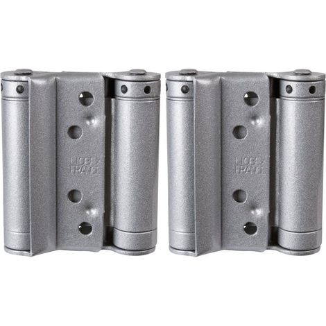 Charnière double action LX CH 39 lame 175 mm acier argent - GROOM