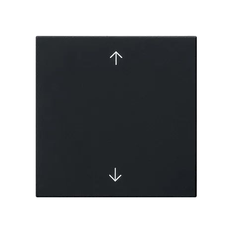 Gira Wippe 1f Pfeile System 55 Schwarz m [5389005], 5389 005