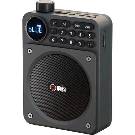 Mini radio FM de poche avec affichage LED, récepteur radio numérique, enceinte Bluetooth portable, amplificateur, lecteur de cartes TF, lecteur de clés USB et lecteur MP3 (1/5)