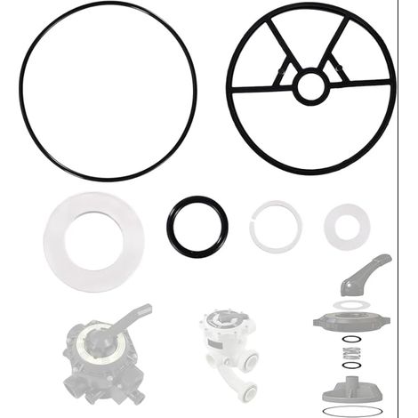 Kit de joints de rechange pour vanne multivoies de filtre à sable - Joint araignée et joints toriques (1/5)