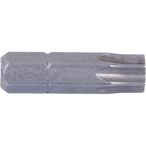 Punta Torx de atornillar 1/4" versiones de 25mm a 50mm          10 Unds                                   25 mm                T-30