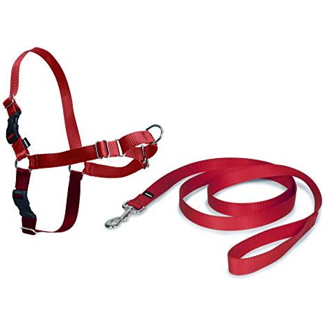 PetSafe Easy Walk Pettorina per Cani Anti-Tiro, Rosso, Taglia S (1/4)