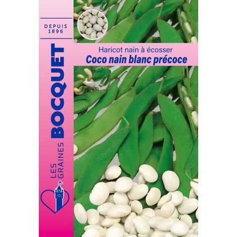 Haricot nain à écosser coco blanc précoce - 115g