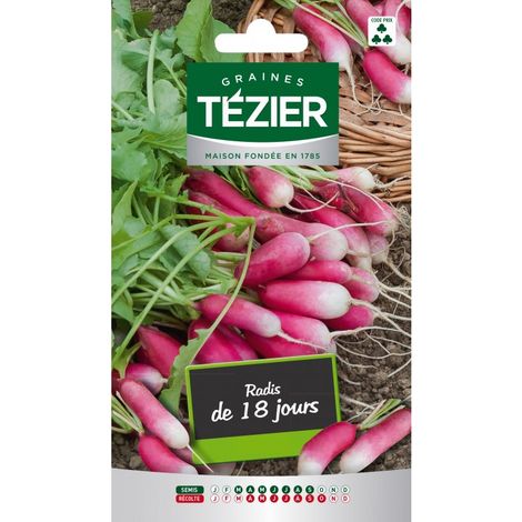 Tezier - Radis de Dix-huit Jours (1/2)