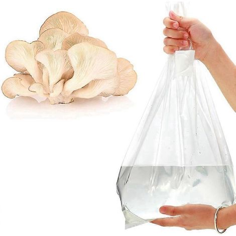 100 sacs de culture de champignons épais, 6 sacs de 6 pouces x 20 pouces (1/5)