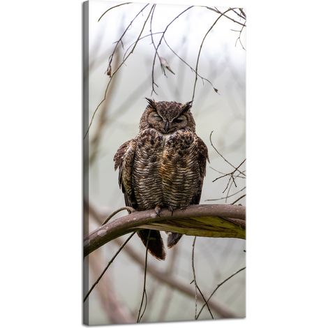 Impression sur toile Animaux Hibou sur une branche 40x80 cm