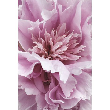 Tableau sur toile focus floral 30x45 cm - Impression sur Toile Murale Décorative - Image imprimée en HD sur Toile - Toile sur Châssis en Bois FSC - Fabriqué en France (1/5)
