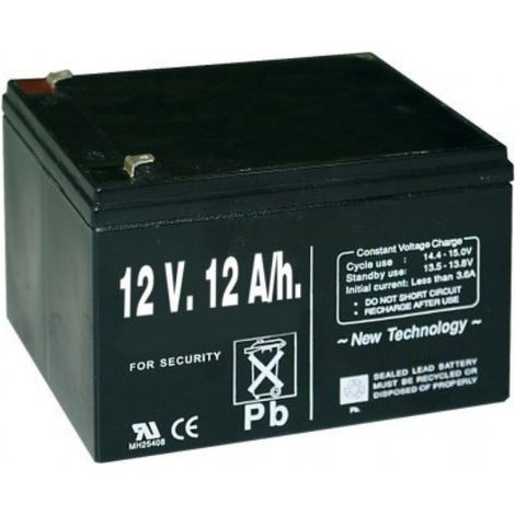Batteria ricaricabile 12 V 12 AH