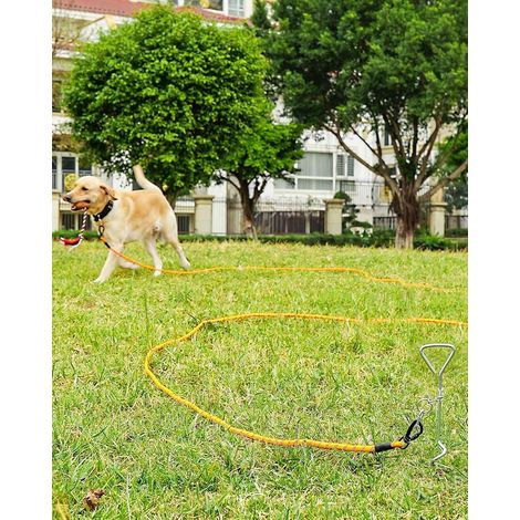 Hunde-Trainingsleine, 5 m, Orange Strapazierfähiges Nylon, komfortabler, gepolsterter Griff, gute Sichtbarkeit bei Nacht, ideal für Training und Freilauf (1/5)