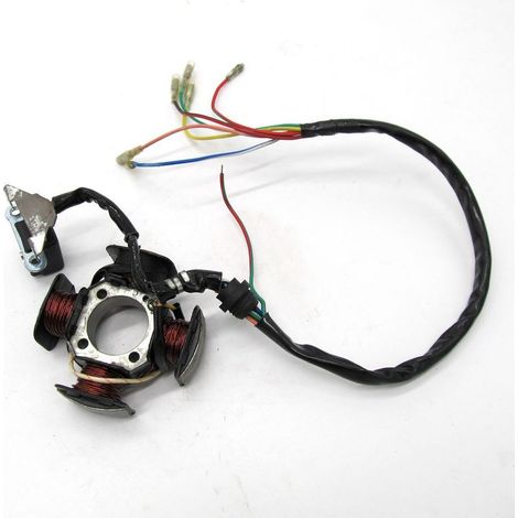 CG-125CC Motorradteile: 4-stufiger Motorstator, magnetische Zündspule (1/3)
