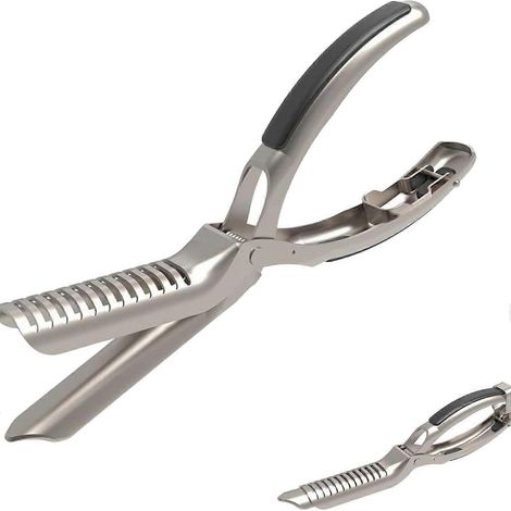 Outil en acier inoxydable pour retirer la peau des côtes levées lors de la préparation de la viande grillée, avec poignée ergonomique antidérapante, 1 ensemble-AquaForge