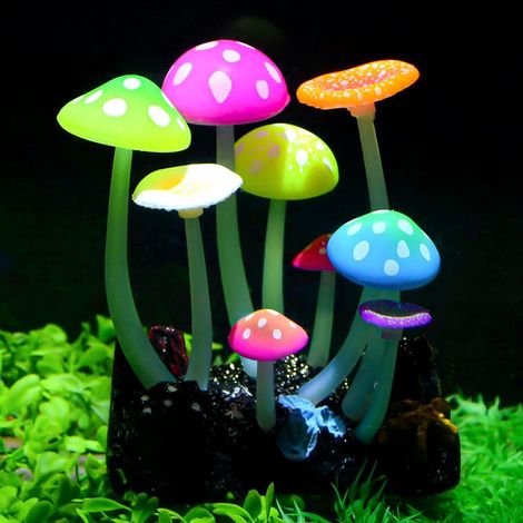 Décor Aquarium Champignon Lumineux Effet Phosphorescent Plante Artificielle Ornement Paysage Réservoir Poisson (1/5)
