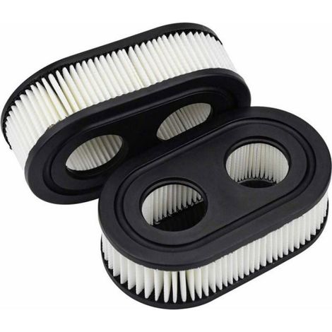 Lot de 2 Filtres Air pour Tondeuse Gazon Briggs Stratton 550E-550EX CARTABLE (1/5)