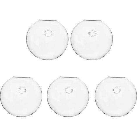 Vase terrarium hydroponique fleurs lot de 5 Zyf (1/5)