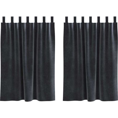 Rideaux avec des rideaux 2 pcs Gris foncé 140 x 140 cm Velours CFW95722 (1/5)