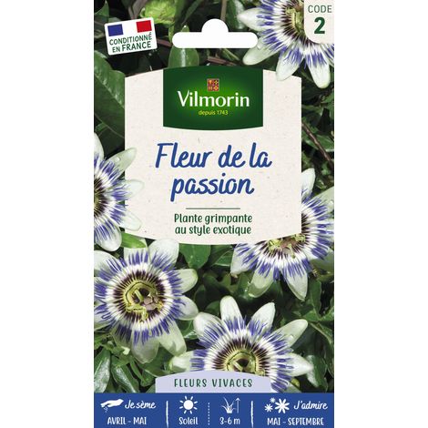 Passiflore (Fleur de la Passion) Vilmorin