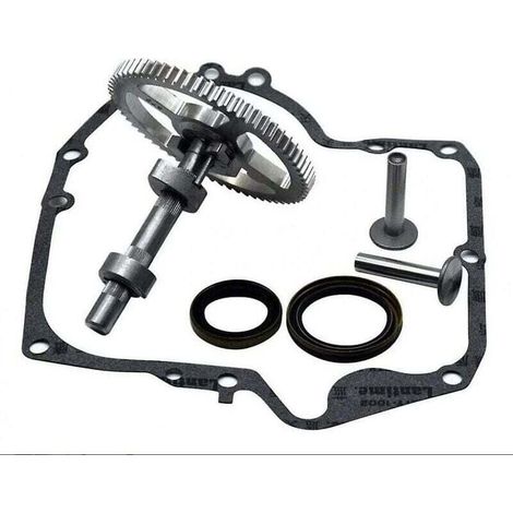 Briggs & Stratton Camshafts 793880 793583 792681 791942 795102 Cam Replacement Kit MUMU (1/4)