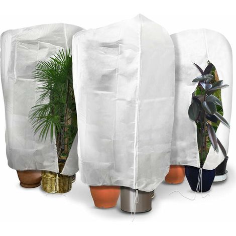 Housse Hivernage Plante - Polypropylène Non Tissé 80 g/m² - 120 x 180 cm - Blanc - Lot de 3 (1/4)