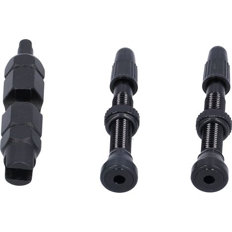 1,6-Zoll-Tubeless-Anti-Slip-Ventil aus Aluminiumlegierung für Rennräder und Mountainbikes, schwarzes Zubehör, French-Turn-Anschluss (1/5)