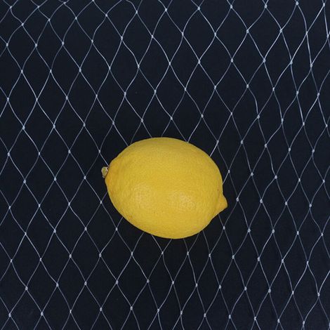 Schutznetz für Obstbäume und Gemüse - Vogelschutznetz für den Garten, 1,8 x 7,6 m, Weiß
