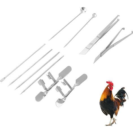 Lot 10 kits écloserie – acier inoxydable – poulet / coq / chapon – ferme bétail (1/5)
