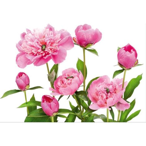 Pink peony, photo murale, 360x255 cm, 4 parts (1/2)