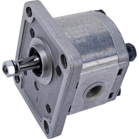Zahnradpumpe Polaris 10 CASAPPA PLP101D081E1G (1/5)