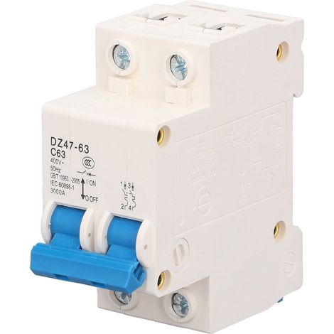 Disjoncteur différentiel 2P Toivize DZ47 63A 220V protection surcharges courts-circuits ABS (1/5)