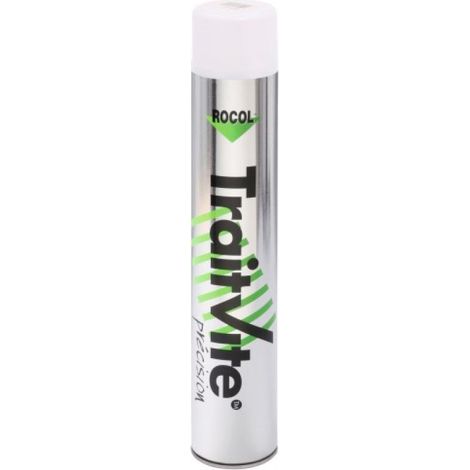 Peinture époxy NOIR RAL 9017 TraitVite en aérosol - Rocol (1/5)
