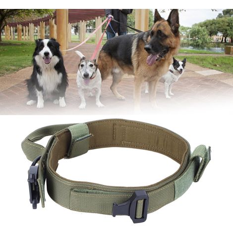 Nylon-Hundehalsband, Trainings- und Jagdhalsband mit Stahlschnalle, Haustierzubehör, grün (1/5)