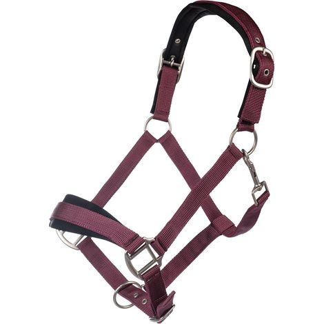Pony, nero: Nylonhalfter für Pferde Modell Samantha mit gepolstertem Nasenriemen und Stirnband (1/3)