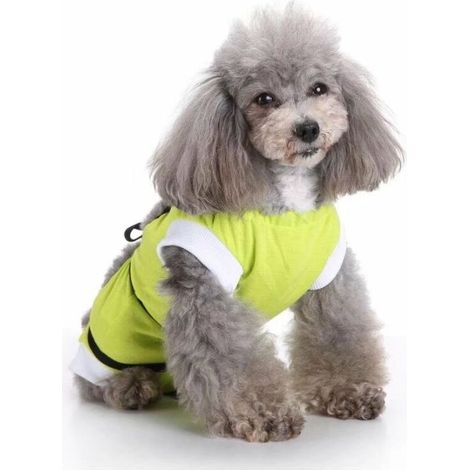 Vêtements pour animaux de compagnie, vêtements pour chiens, vêtements de stérilisation, vêtements de rééducation pour chiens, vêtements de protection contre les blessures des animaux de compa (1/5)