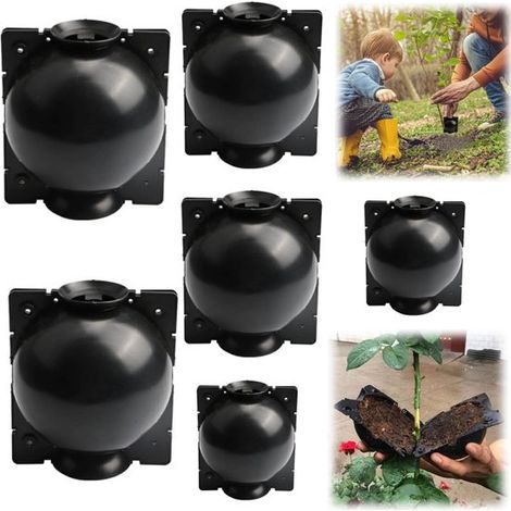 Kit de propagation de plantes en 6 pièces Stimulateur de croissance Dispositif d'enracinement Plateau de semis (Noir S+M+L) (1/5)