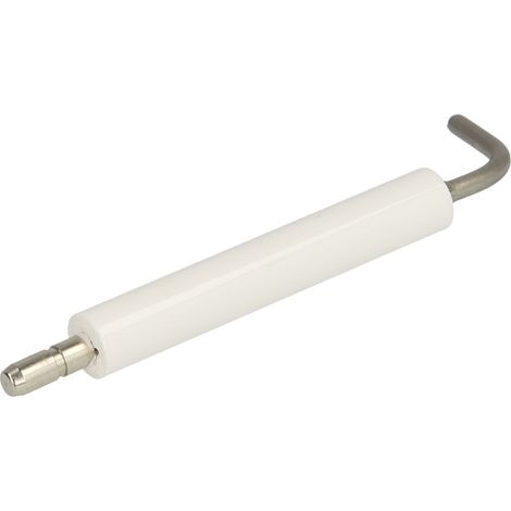 Electrode d'ionisation