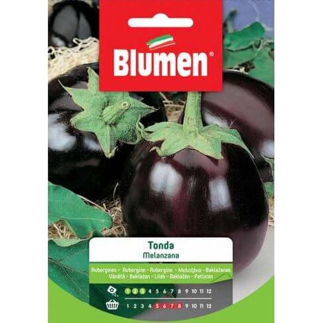 SEMI MELANZANA TONDA