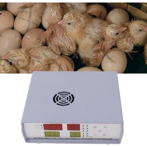 Mini-incubateur avec double régulateur électrique, thermomètre et hygromètre, accessoires d'incubation, régulateur d'incubation 180-240 V (1/5)