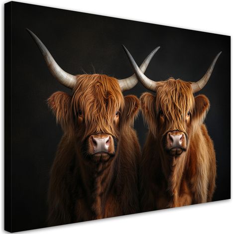 Tableau déco Vache écossaise de race Highland Animaux 90x60 (1/5)