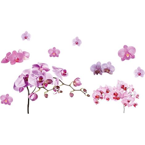 Sticker mural orchidées rose 70 x 50 cm
