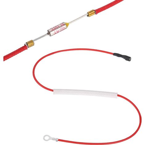 Fusible Thermique Universel Pour Cuiseur À Riz, 100°C 10A 250V Fusible Thermique Métallique Avec Borne Et Cosse À Oeil Gainage En Fibre De Verre Pour Pièce De Réparation (1/5)