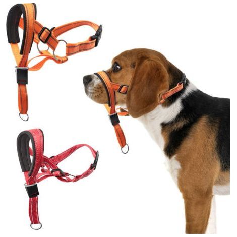 ALLIANDISCollier de tête pour chien, licou sans traction avec rembourrage doux, outil d'entraînement durable et réfléchissant pour chiens de taille moyenne, labrador, arrête les tractions lourdes et c (1/4)