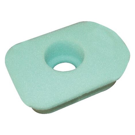 Filtro Air BRIGGS et STRATTON 270579
